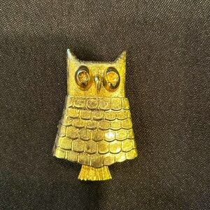 Owl 🦉 Brooch and Locket